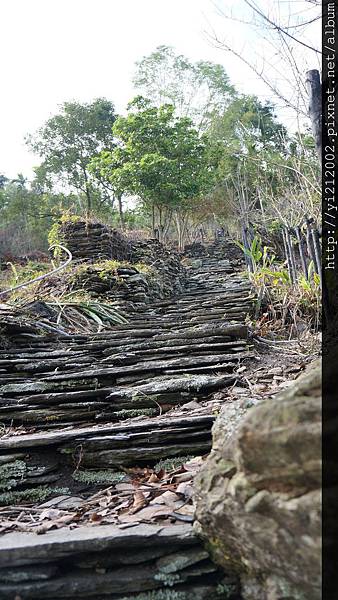 DSC00348.JPG DSC00348.JPG