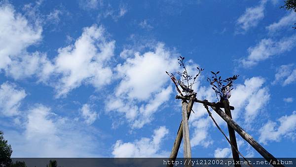 DSC00362.JPG DSC00362.JPG