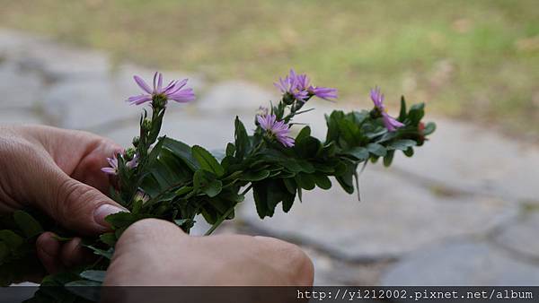 DSC00391.JPG DSC00391.JPG