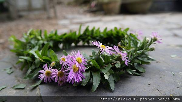 DSC00392.JPG DSC00392.JPG