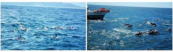 10437644_10154300598365613_2618799380990841601_n