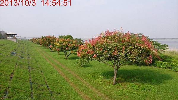 高屏溪5 高屏溪5