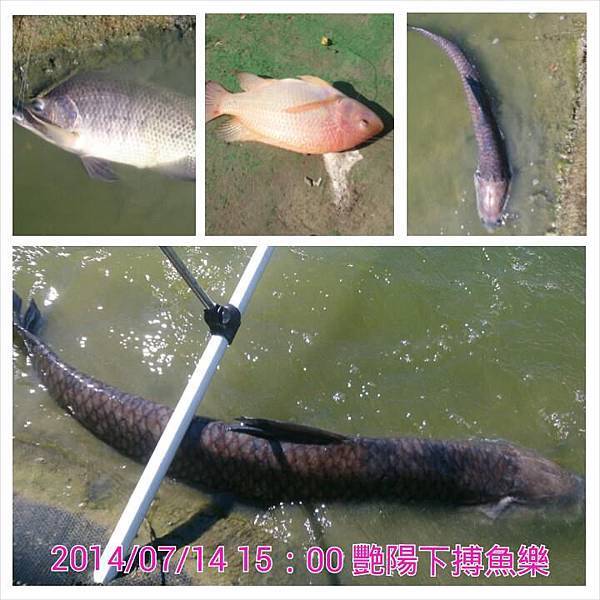 釣魚1