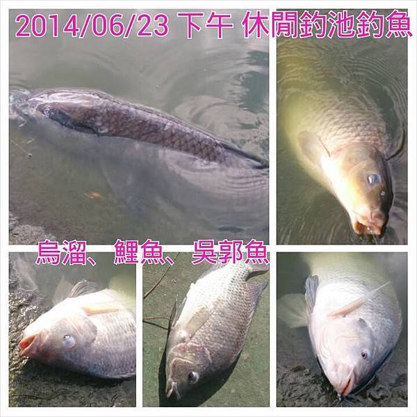 釣魚3