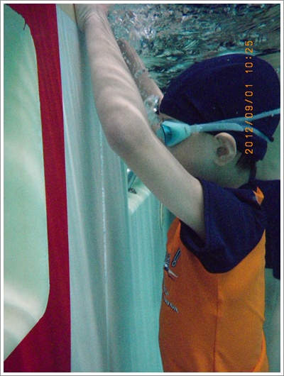 弟游泳1IMGP3086 弟游泳1IMGP3086