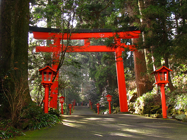 IMG_3494.JPG IMG_3494.JPG