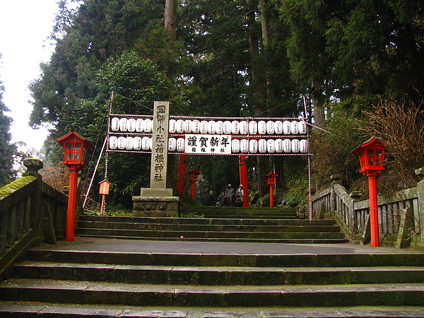 IMG_3493.JPG IMG_3493.JPG