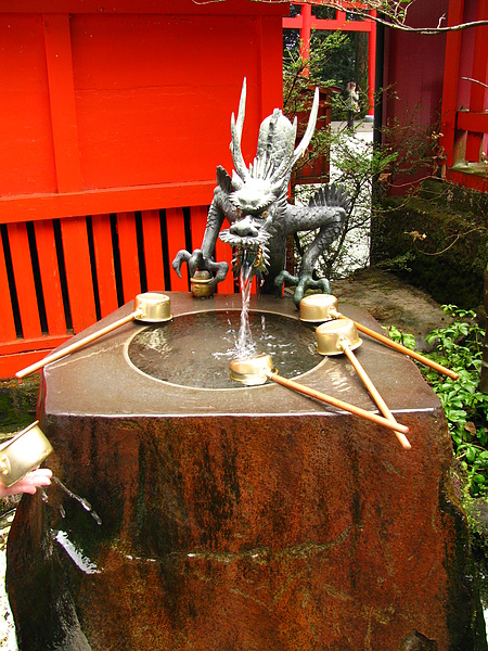 IMG_3515.JPG IMG_3515.JPG