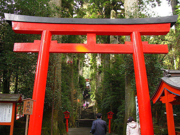 IMG_3511.JPG IMG_3511.JPG