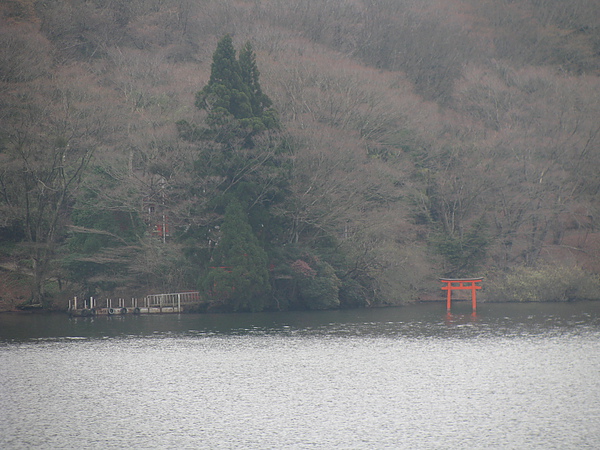 IMG_3470.JPG IMG_3470.JPG