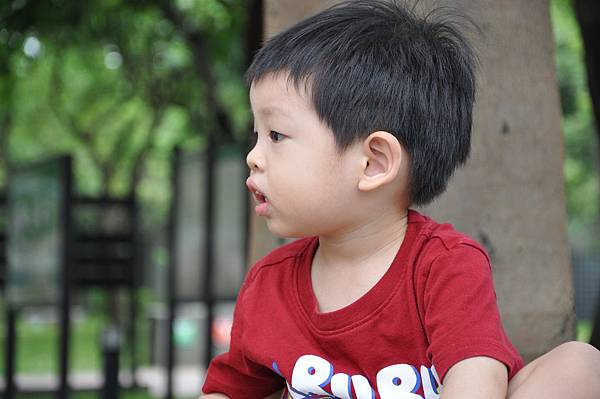 DSC_0005.JPG DSC_0005.JPG