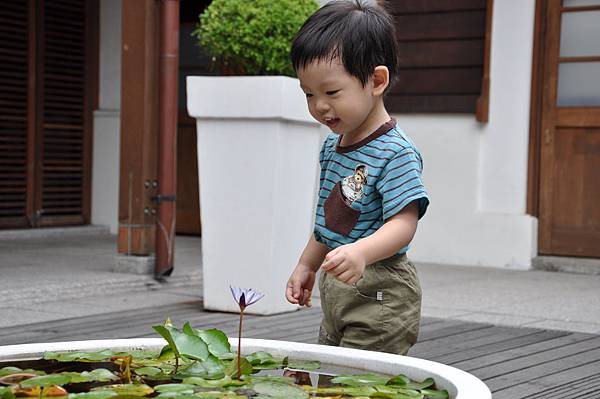 DSC_0080.JPG DSC_0080.JPG