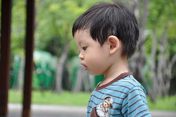 DSC_0086.JPG DSC_0086.JPG