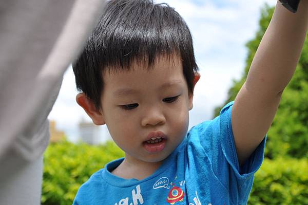 DSC_0224.JPG DSC_0224.JPG