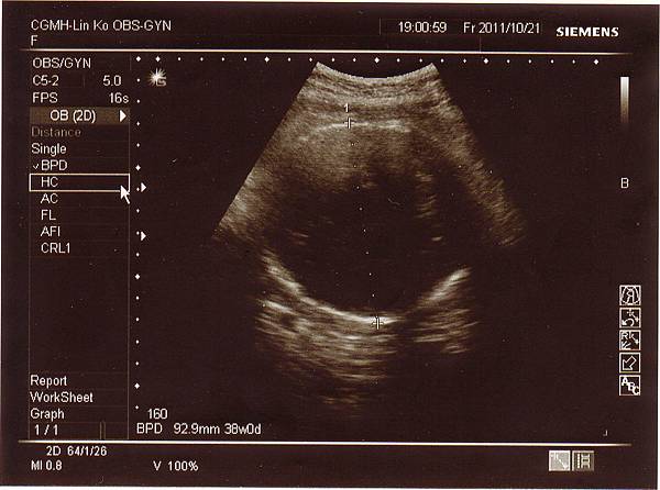 1021-1.jpg 1021-1.jpg