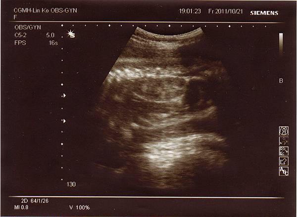 1021-3.jpg 1021-3.jpg