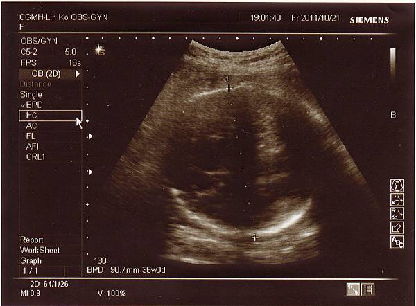 1021-4.jpg 1021-4.jpg