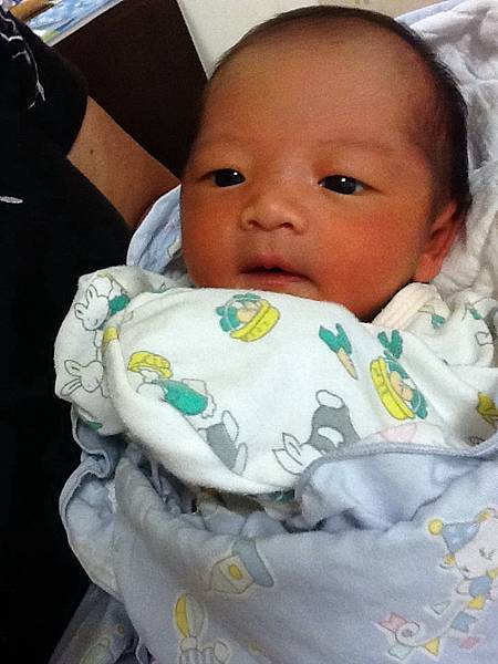 2011-11-08.jpg 2011-11-08.jpg