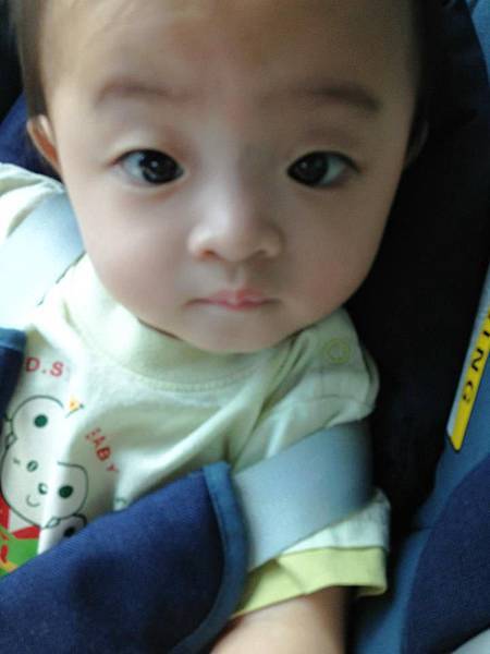 179994_508189565864284_364922955_n 179994_508189565864284_364922955_n