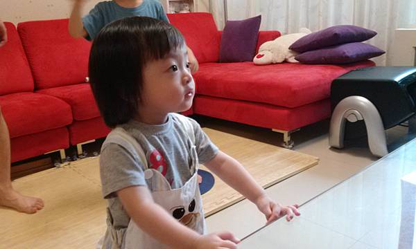 IMG_20130609_105432 IMG_20130609_105432