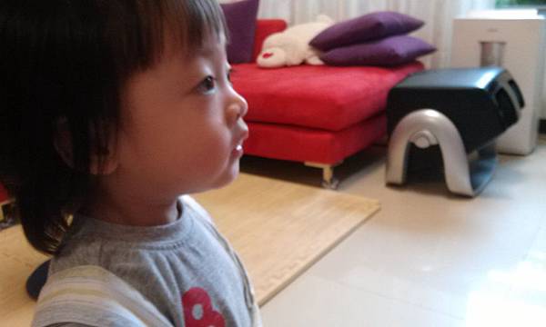 IMG_20130609_105635_2 IMG_20130609_105635_2