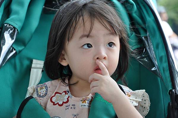 DSC_0005.JPG DSC_0005.JPG