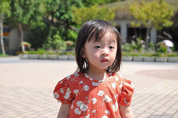 DSC_0006.JPG DSC_0006.JPG