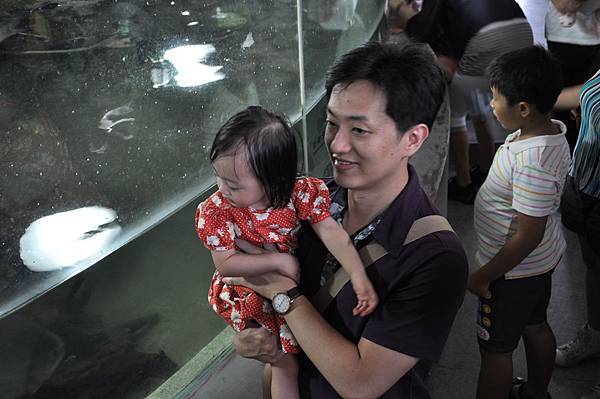 DSC_0016.JPG DSC_0016.JPG