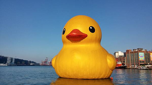 2014-01-25 15.47.48.jpg 2014-01-25 15.47.48.jpg