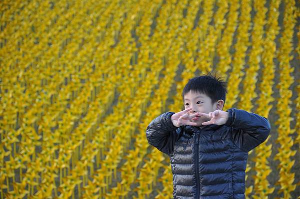 DSC_0215.JPG DSC_0215.JPG