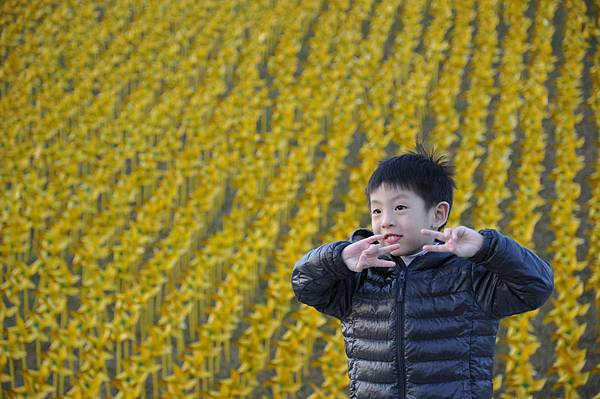 DSC_0216.JPG DSC_0216.JPG