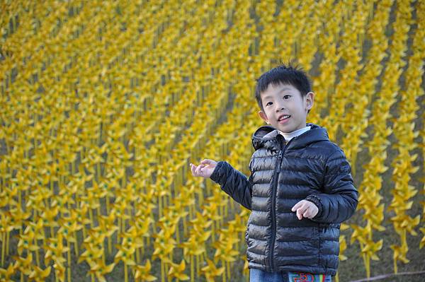 DSC_0219.JPG DSC_0219.JPG