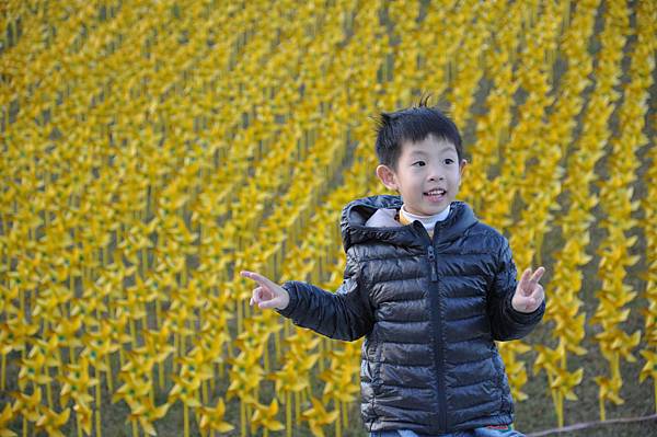 DSC_0220.JPG DSC_0220.JPG