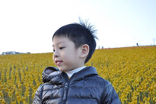 DSC_0223.JPG DSC_0223.JPG