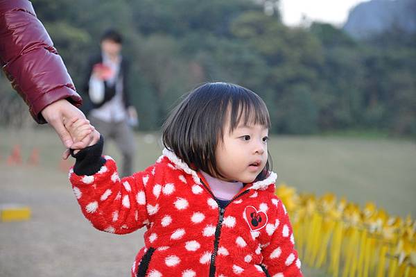 DSC_0224.JPG DSC_0224.JPG