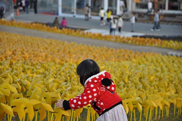 DSC_0234.JPG DSC_0234.JPG