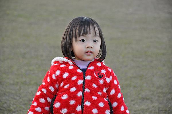 DSC_0259.JPG DSC_0259.JPG