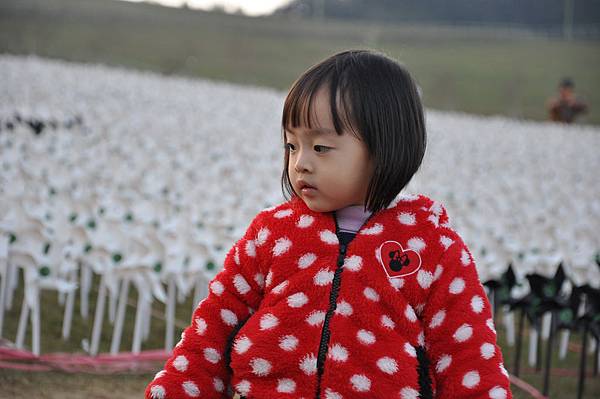 DSC_0278.JPG DSC_0278.JPG