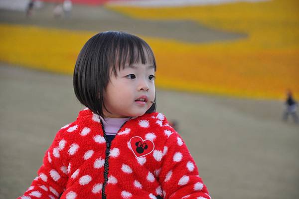 DSC_0293.JPG DSC_0293.JPG