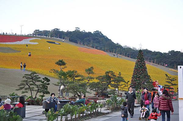 DSC_0295.JPG DSC_0295.JPG