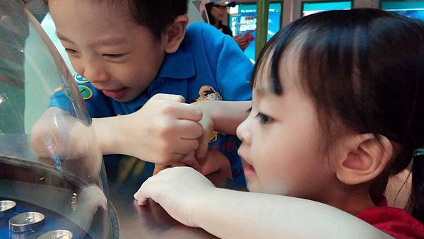 2014-07-06 13.14.16.jpg 2014-07-06 13.14.16.jpg