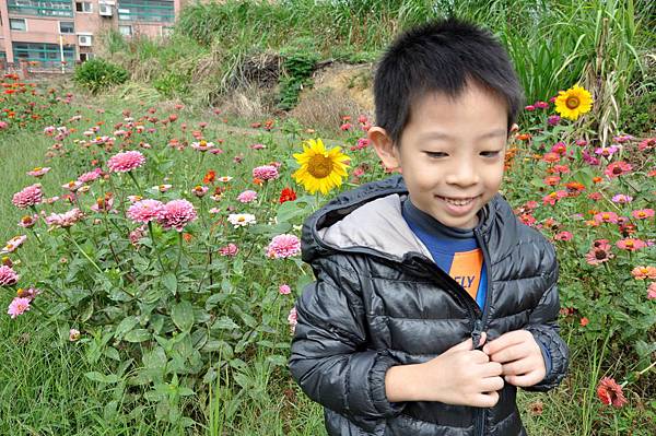 DSC_0021.JPG DSC_0021.JPG