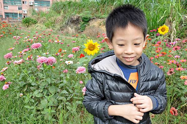 DSC_0022.JPG DSC_0022.JPG