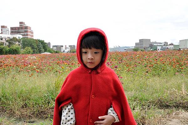 DSC_0025.JPG DSC_0025.JPG