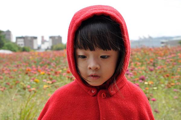 DSC_0026.JPG DSC_0026.JPG