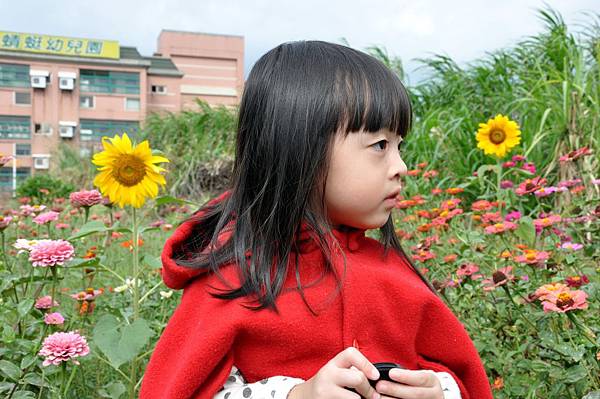 DSC_0037.JPG DSC_0037.JPG