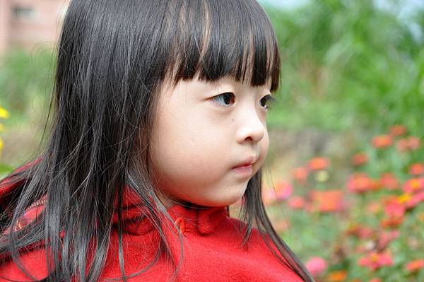 DSC_0038.JPG DSC_0038.JPG