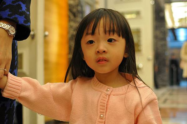 DSC_0080.JPG DSC_0080.JPG