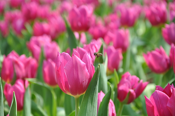 DSC_0064.JPG DSC_0064.JPG