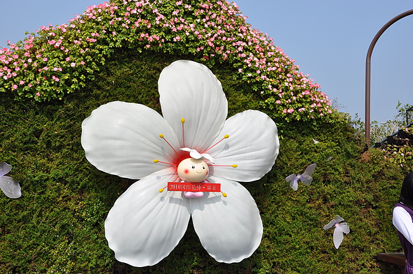 DSC_0119.JPG DSC_0119.JPG